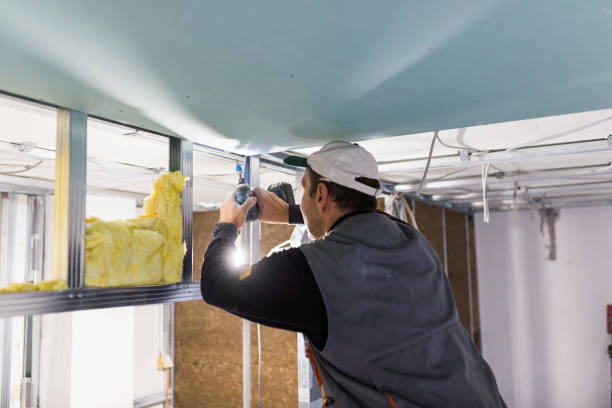 Best Insulation Contractors for Homes  in El Paso, TX