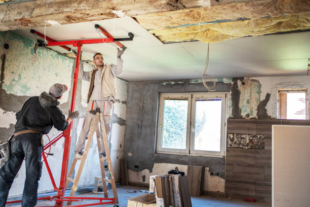 Best Insulation Removal  in El Paso, TX